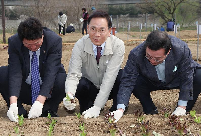 세곡천 힐링텃밭 개장