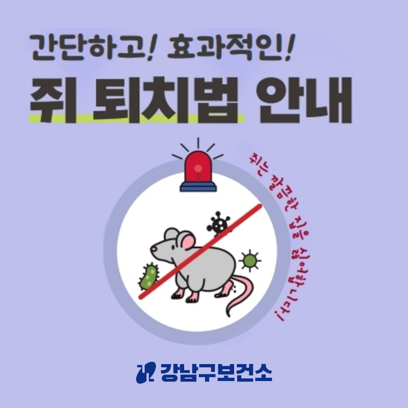 간단하고! 효과적인!쥐 퇴치 방법 안내쥐는 깔끔한 집을 싫어합니다!강남구보건소